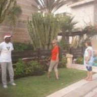 arabi